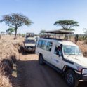 TZA MAR SerengetiNP 2016DEC24 LemalaEwanjan 020 : 2016, 2016 - African Adventures, Africa, Date, December, Eastern, Lemala Ewanjan Camp, Mara, Month, Places, Serengeti National Park, Tanzania, Trips, Year